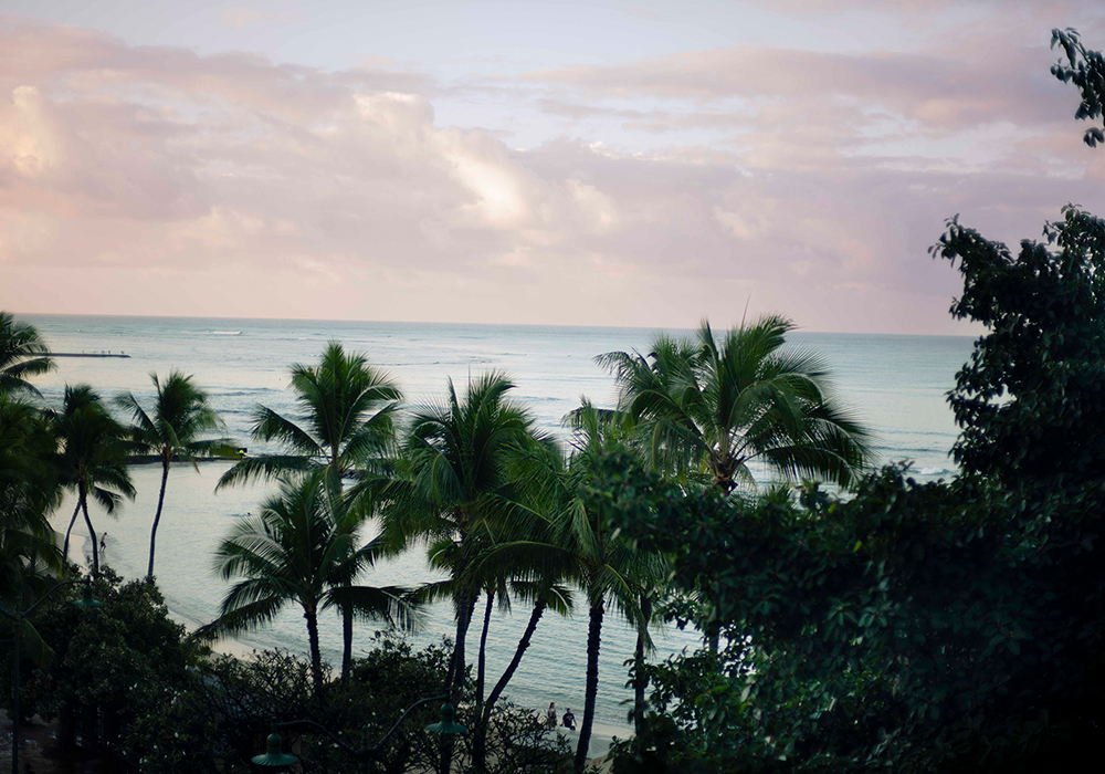 https://s45988.pcdn.co/wp-content/uploads/2025/05/exp-slider-palmtrees-ocean.jpg